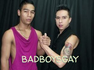 BADBOYSGAY