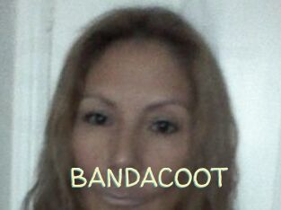 BANDACOOT