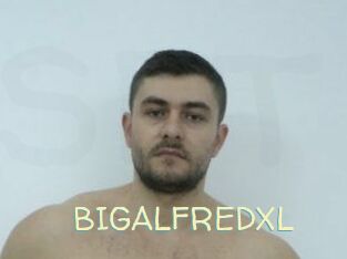 BIGALFREDXL Sexy Tchat
