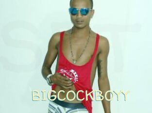 BIGCOCKBOYY