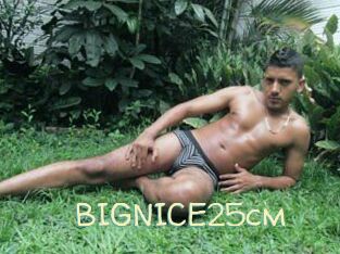 BIGNICE25cm