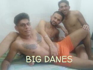 BIG_DANES