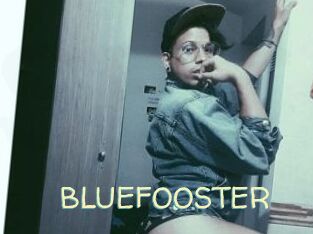 BLUEFOOSTER
