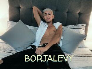 BORJALEVY