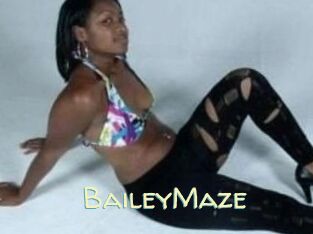 Bailey_Maze