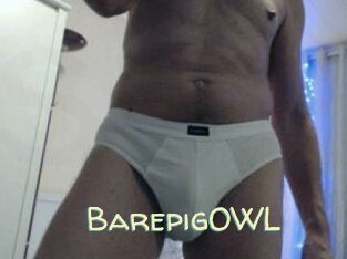 BarepigOWL