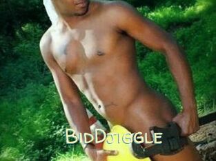 BidDjiggle