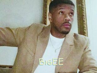 BigEE
