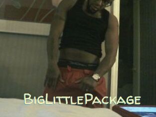 BigLittlePackage