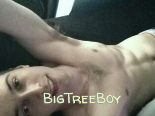 BigTreeBoy