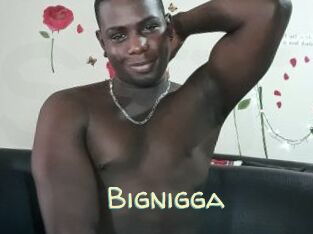 Bignigga