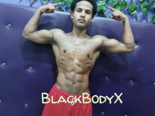 BlackBodyX