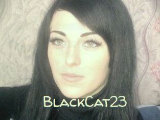 BlackCat23