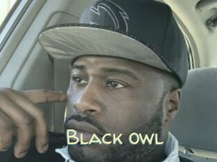 Black_owl