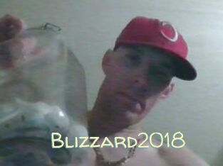 Blizzard2018