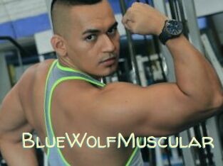 BlueWolfMuscular