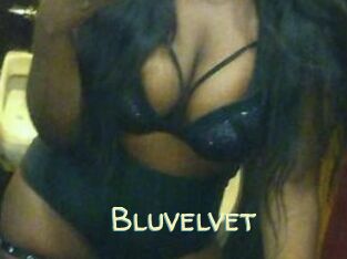 Bluvelvet