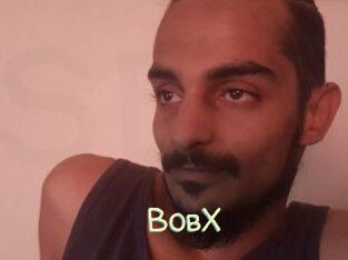 BobX