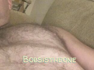 Bobsistheone