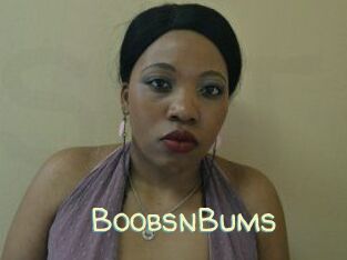 BoobsnBums