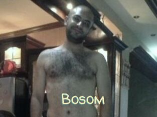 Bosom