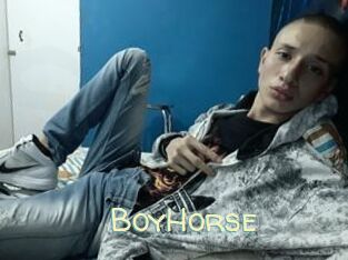 BoyHorse