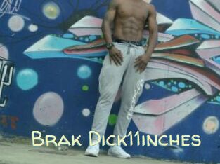 Brak_Dick11inches