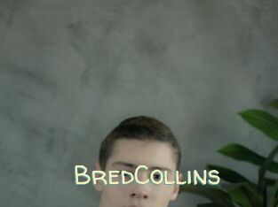 BredCollins