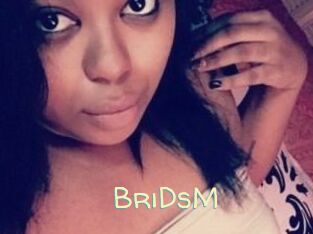 BriDsM