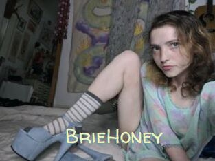 BrieHoney