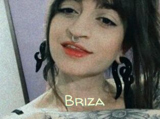 Briza