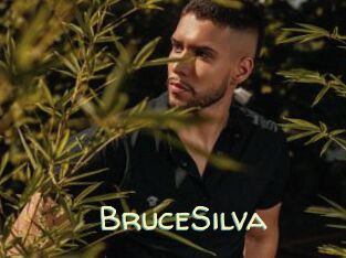 BruceSilva