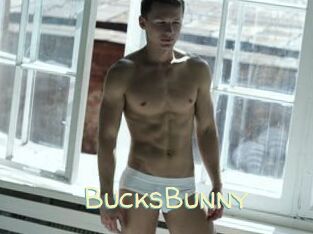 BucksBunny
