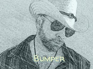 Bumper