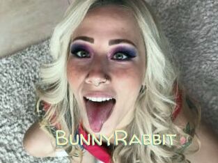 BunnyRabbit