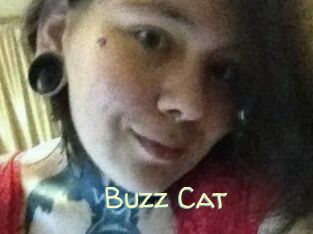 Buzz_Cat