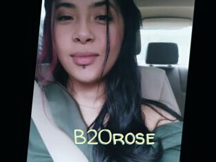 B20rose