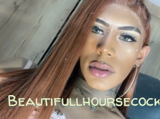 Beautifullhoursecock