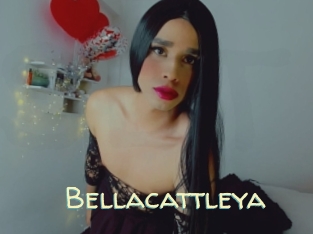 Bellacattleya