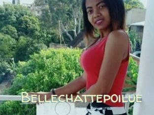 Bellechattepoilue