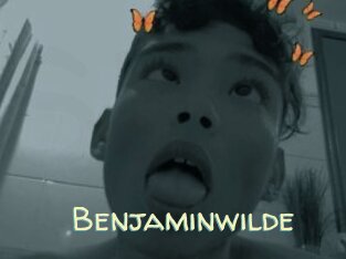 Benjaminwilde