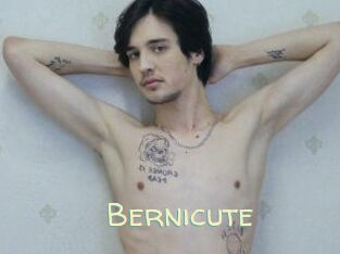 Bernicute