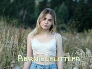 Berniecelittleb
