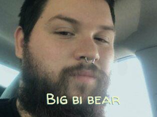 Big_bi_bear