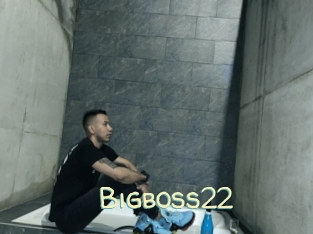 Bigboss22