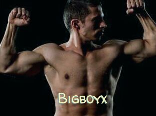 Bigboyx