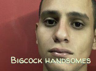 Bigcock_handsomes