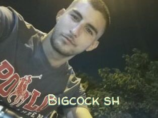 Bigcock_sh