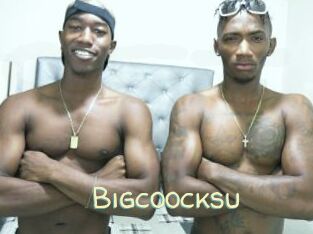 Bigcoocksu