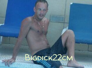 Bigdick22cm